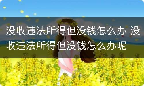 没收违法所得但没钱怎么办 没收违法所得但没钱怎么办呢