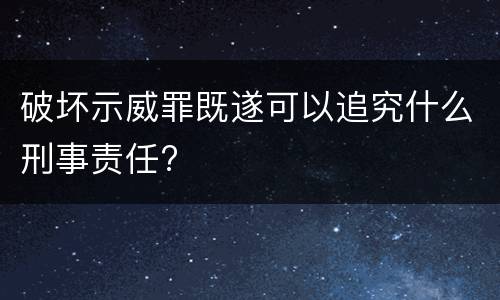 破坏示威罪既遂可以追究什么刑事责任?