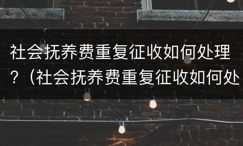 社会抚养费重复征收如何处理?（社会抚养费重复征收如何处理呢）