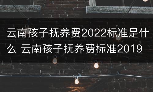 云南孩子抚养费2022标准是什么 云南孩子抚养费标准2019