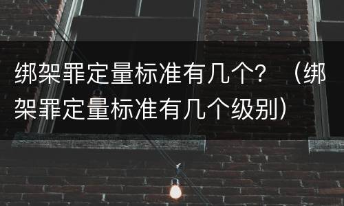 绑架罪定量标准有几个？（绑架罪定量标准有几个级别）
