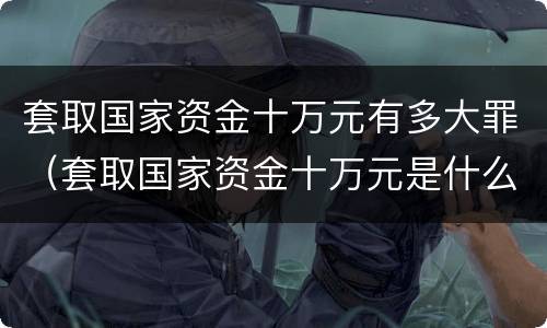 套取国家资金十万元有多大罪（套取国家资金十万元是什么罪）