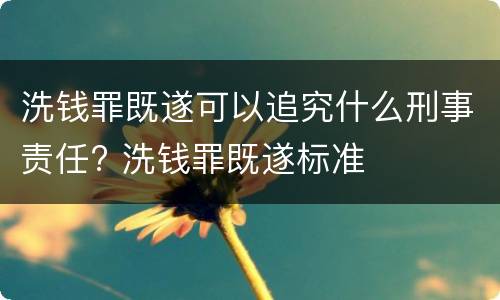 洗钱罪既遂可以追究什么刑事责任? 洗钱罪既遂标准
