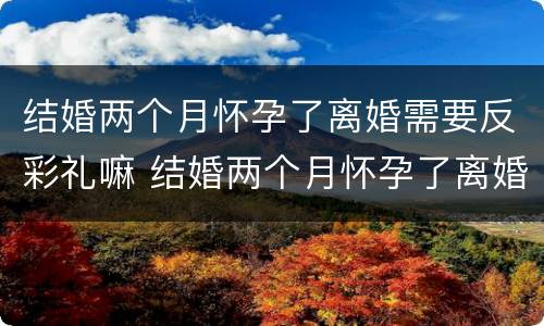 结婚两个月怀孕了离婚需要反彩礼嘛 结婚两个月怀孕了离婚需要反彩礼嘛女方