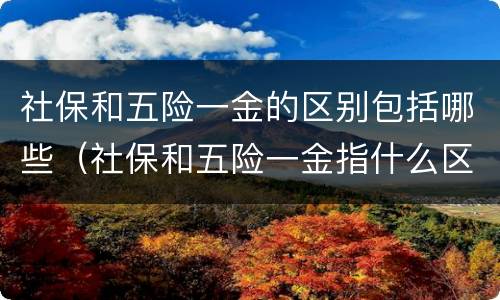 社保和五险一金的区别包括哪些（社保和五险一金指什么区别）