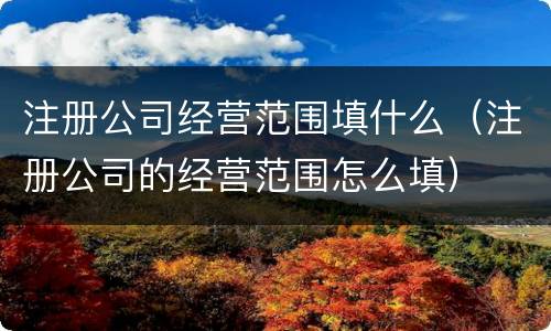 注册公司经营范围填什么（注册公司的经营范围怎么填）