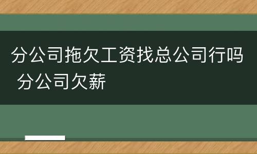 分公司拖欠工资找总公司行吗 分公司欠薪