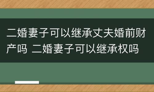 二婚妻子可以继承丈夫婚前财产吗 二婚妻子可以继承权吗