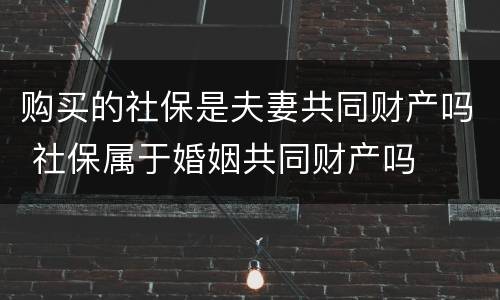 购买的社保是夫妻共同财产吗 社保属于婚姻共同财产吗