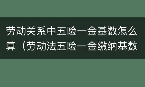 劳动关系中五险一金基数怎么算（劳动法五险一金缴纳基数）