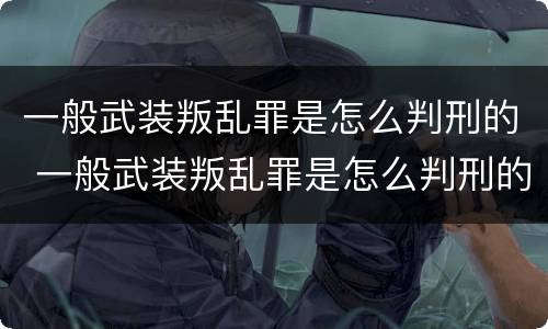 一般武装叛乱罪是怎么判刑的 一般武装叛乱罪是怎么判刑的呀