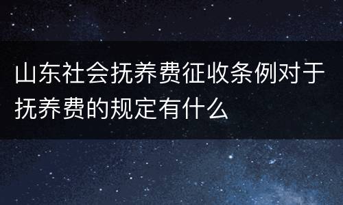 山东社会抚养费征收条例对于抚养费的规定有什么