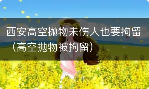 西安高空抛物未伤人也要拘留（高空抛物被拘留）