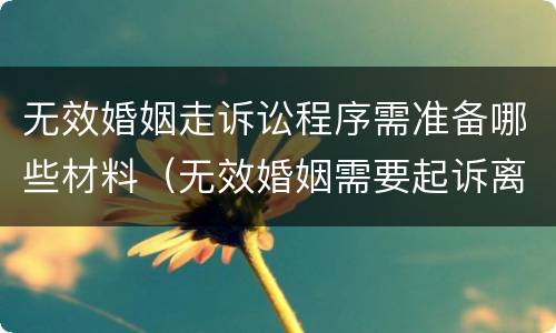 无效婚姻走诉讼程序需准备哪些材料（无效婚姻需要起诉离婚吗）