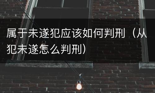 属于未遂犯应该如何判刑（从犯未遂怎么判刑）
