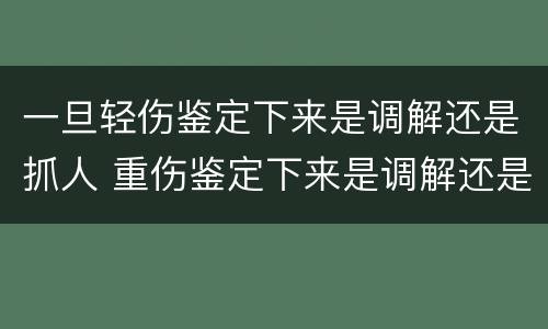 一旦轻伤鉴定下来是调解还是抓人 重伤鉴定下来是调解还是抓人