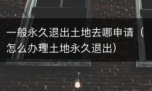 一般永久退出土地去哪申请（怎么办理土地永久退出）