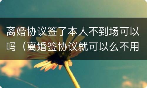 离婚协议签了本人不到场可以吗（离婚签协议就可以么不用本人到场）