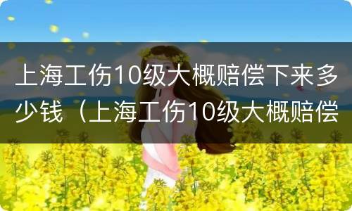 上海工伤10级大概赔偿下来多少钱（上海工伤10级大概赔偿下来多少钱2023）