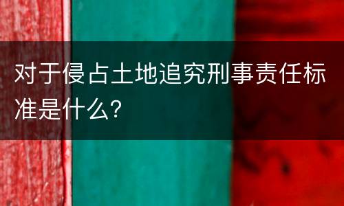 对于侵占土地追究刑事责任标准是什么？
