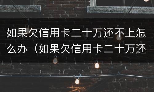 如果欠信用卡二十万还不上怎么办（如果欠信用卡二十万还不上怎么办呢）
