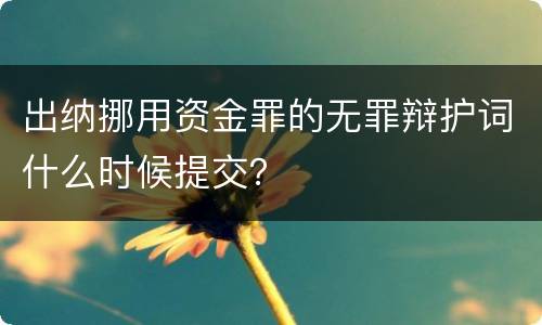 出纳挪用资金罪的无罪辩护词什么时候提交？