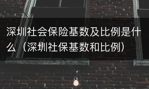 深圳社会保险基数及比例是什么（深圳社保基数和比例）
