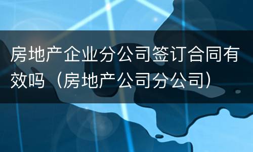 房地产企业分公司签订合同有效吗（房地产公司分公司）