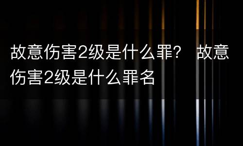 故意伤害2级是什么罪？ 故意伤害2级是什么罪名