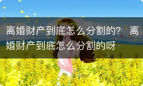 离婚财产到底怎么分割的？ 离婚财产到底怎么分割的呀
