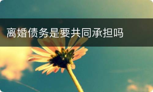 离婚债务是要共同承担吗