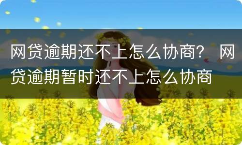 网贷逾期还不上怎么协商？ 网贷逾期暂时还不上怎么协商