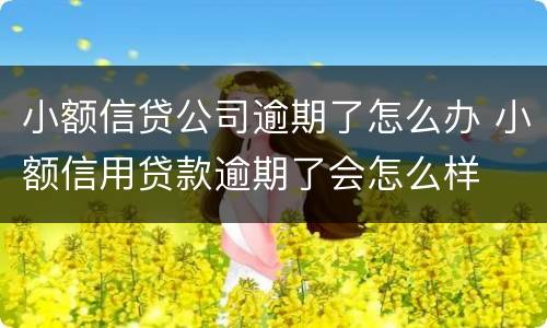小额信贷公司逾期了怎么办 小额信用贷款逾期了会怎么样