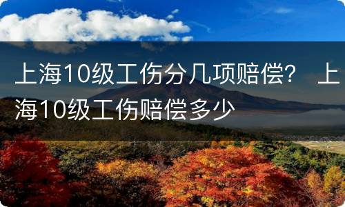 上海10级工伤分几项赔偿？ 上海10级工伤赔偿多少