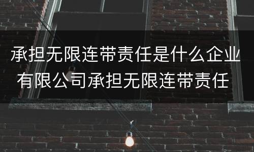 承担无限连带责任是什么企业 有限公司承担无限连带责任