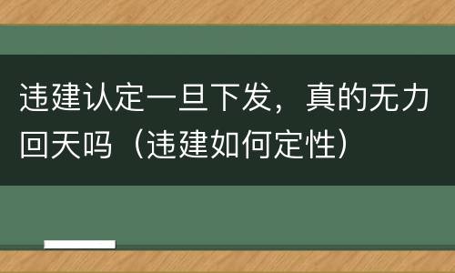 违建认定一旦下发，真的无力回天吗（违建如何定性）