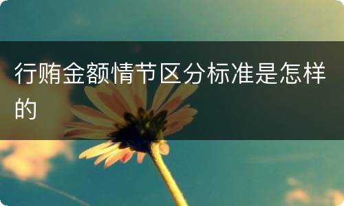 行贿金额情节区分标准是怎样的