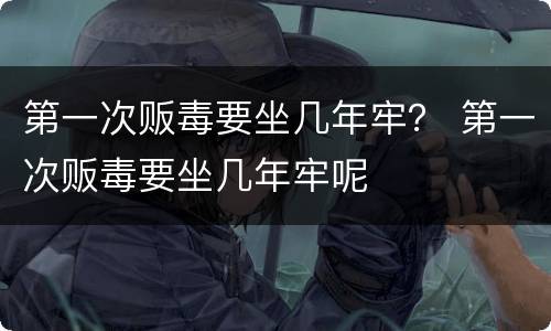 第一次贩毒要坐几年牢？ 第一次贩毒要坐几年牢呢