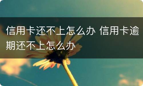 信用卡还不上怎么办 信用卡逾期还不上怎么办
