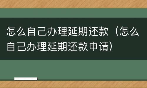 怎么自己办理延期还款（怎么自己办理延期还款申请）