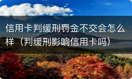 信用卡判缓刑罚金不交会怎么样（判缓刑影响信用卡吗）