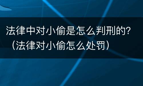 法律中对小偷是怎么判刑的？（法律对小偷怎么处罚）