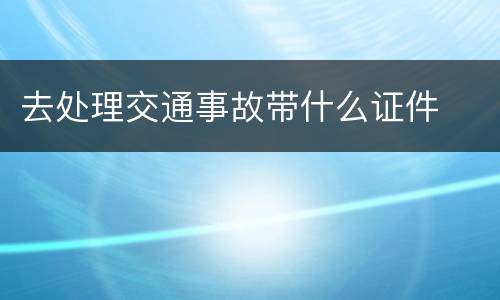 去处理交通事故带什么证件