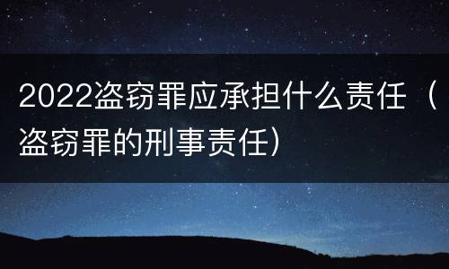 2022盗窃罪应承担什么责任（盗窃罪的刑事责任）