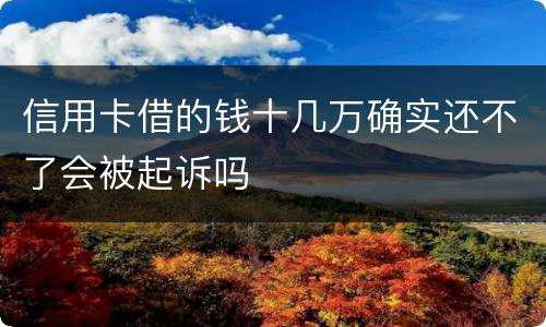 信用卡借的钱十几万确实还不了会被起诉吗