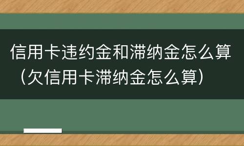 信用卡违约金和滞纳金怎么算（欠信用卡滞纳金怎么算）