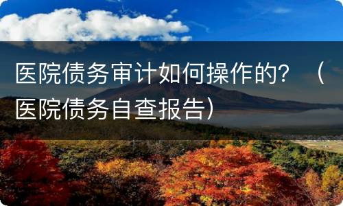医院债务审计如何操作的？（医院债务自查报告）