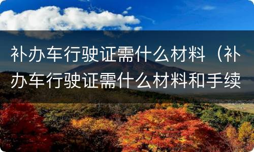 补办车行驶证需什么材料（补办车行驶证需什么材料和手续）
