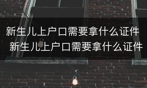 新生儿上户口需要拿什么证件 新生儿上户口需要拿什么证件手续?