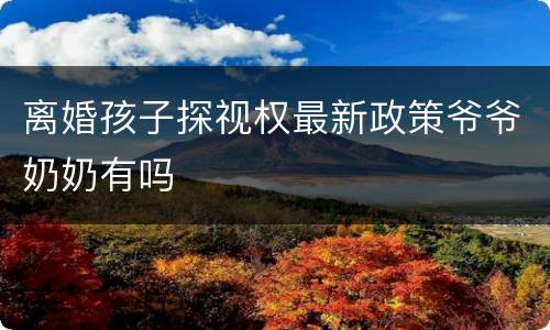离婚孩子探视权最新政策爷爷奶奶有吗